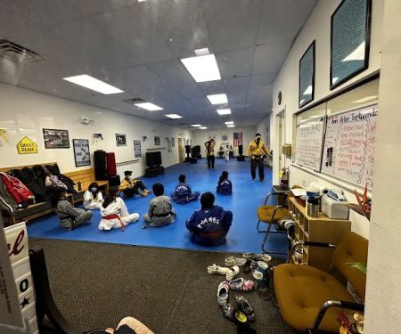 Ann Arbor Tae Kwon DO School