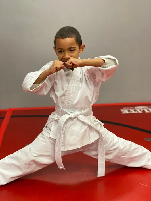 Ultimate Martial Arts Academy Picture 10
