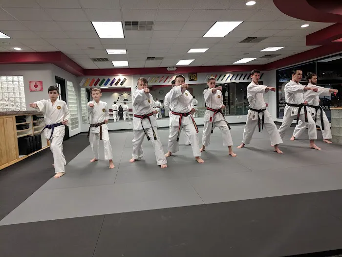 The Dojo Zen Bei Martial Arts Picture 5