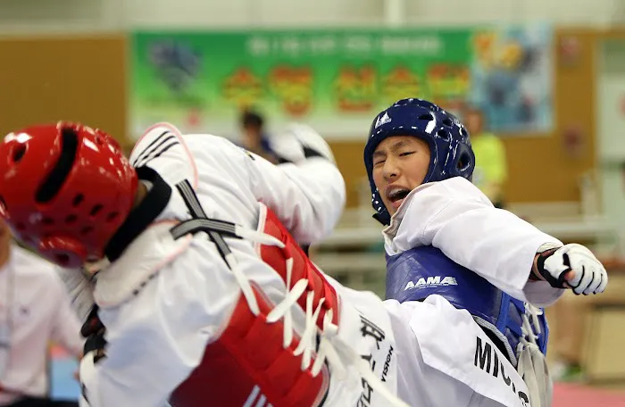 Kim's Taekowndo USA (World Champion Taekwondo) Picture 7