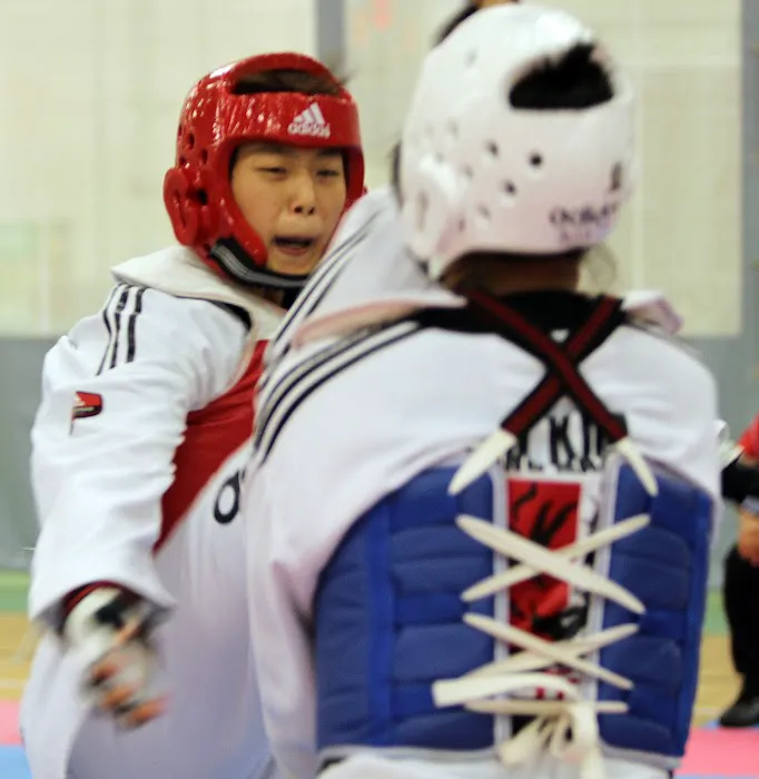 Kim's Taekowndo USA (World Champion Taekwondo) Picture 6