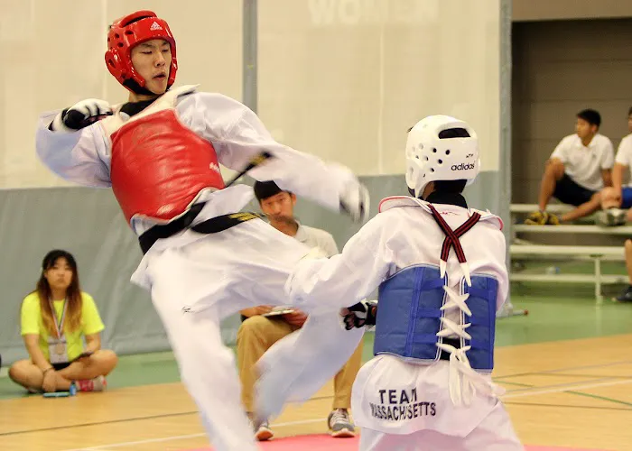 Kim's Taekowndo USA (World Champion Taekwondo) Picture 5