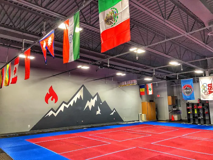 Everest Taekwondo Troy | Martial Arts & Fitness Center Picture 7