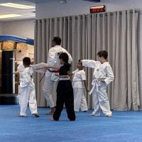 TROY MARTIAL ARTS ico