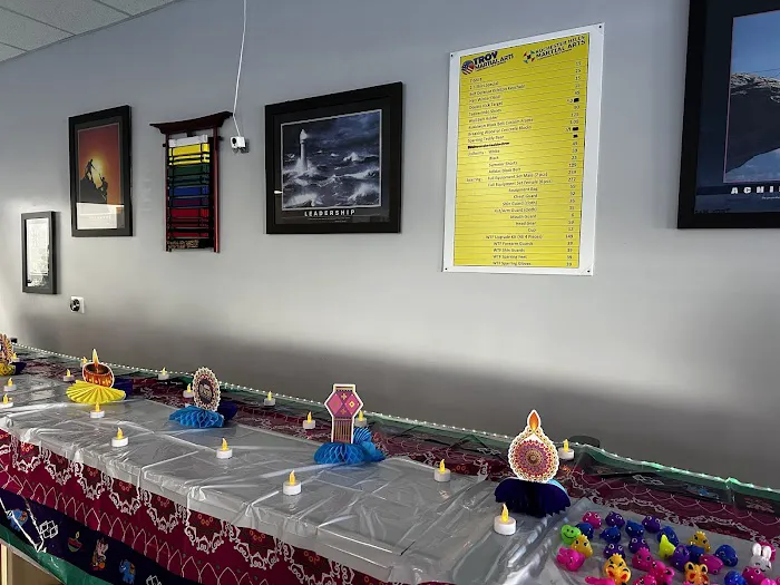 TROY MARTIAL ARTS Picture 3