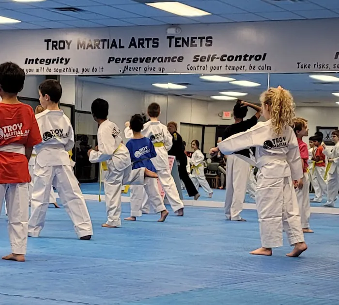 TROY MARTIAL ARTS Picture 6