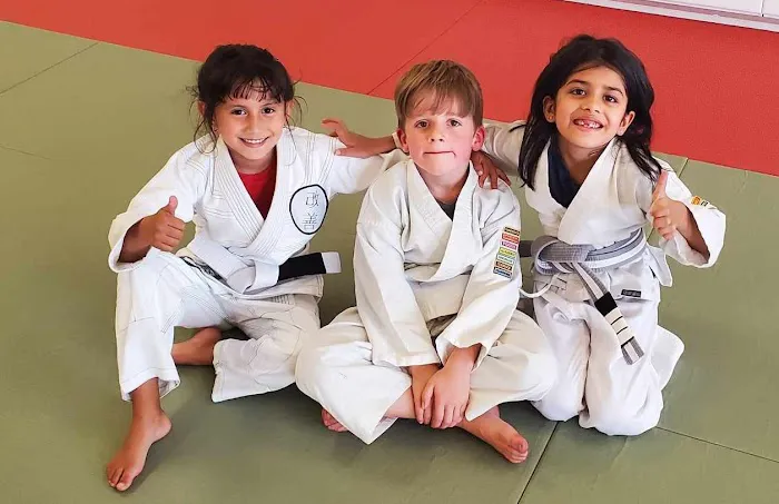 Bushidokan Martial Arts Picture 2