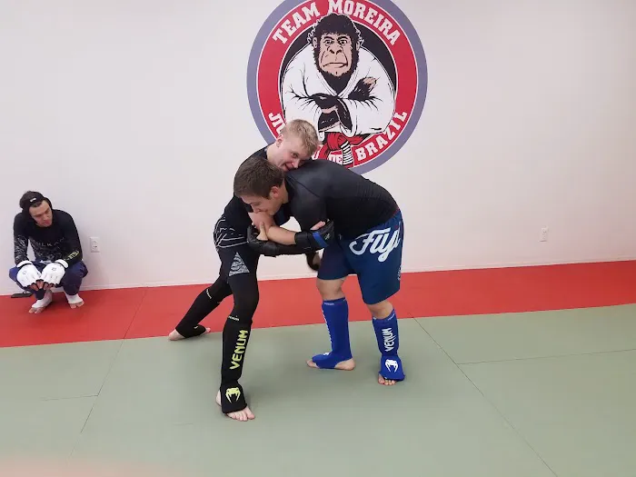 Bushidokan Martial Arts Picture 3