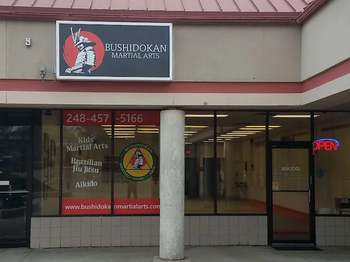 Bushidokan Martial Arts Picture 9