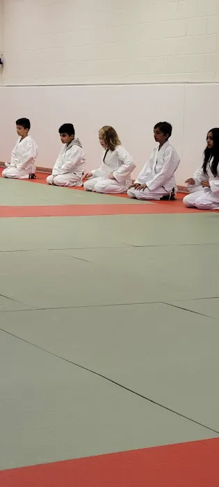 Bushidokan Martial Arts Picture 6