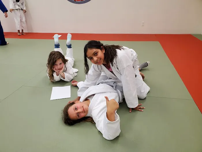 Bushidokan Martial Arts Picture 5