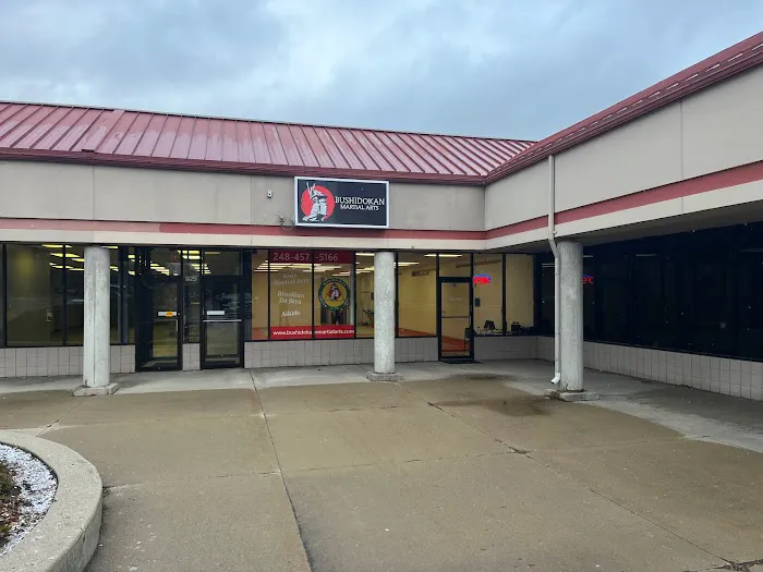 Bushidokan Martial Arts Picture 4