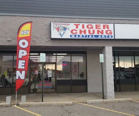 Tiger Chungu2019s Martial Arts