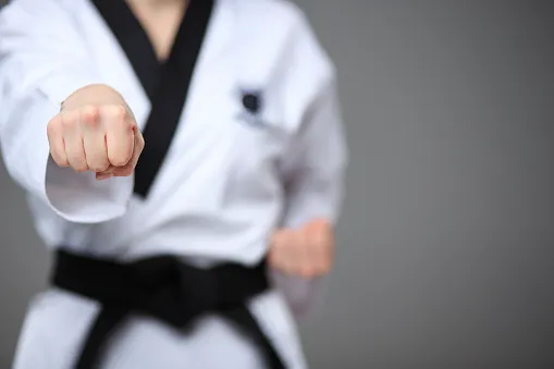Tiger Chung’s Martial Arts Picture 5