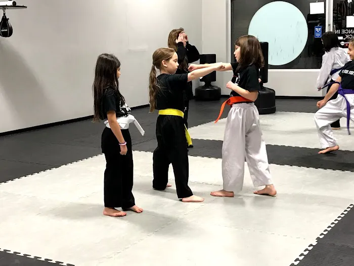 X-Martial Arts Picture 2