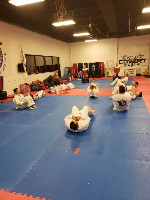 Olympia Taekwondo Picture 1