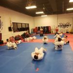Olympia Taekwondo