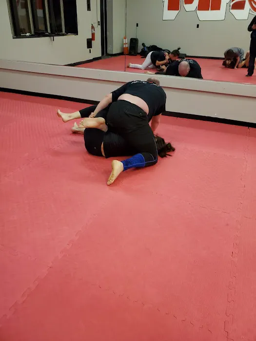 Olympia Taekwondo Picture 3