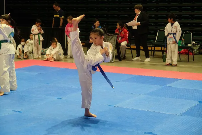 Olympia Taekwondo Picture 4