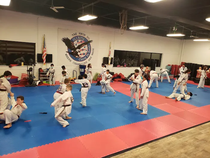 Olympia Taekwondo Picture 9