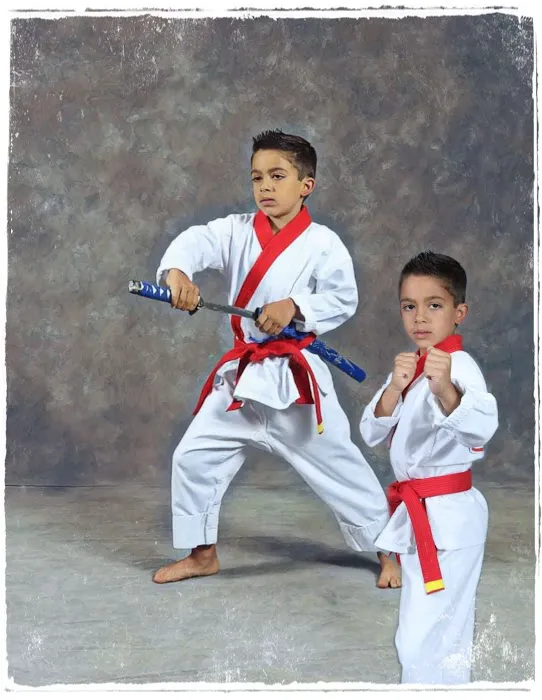 PKSA Karate-St. Clair Shores Picture 2