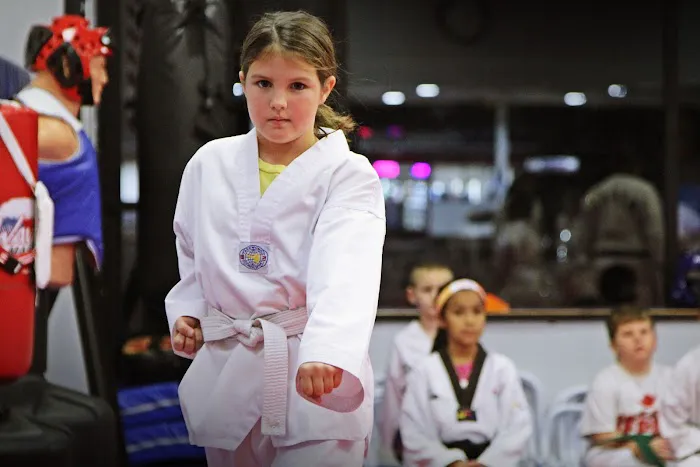 Everest Taekwondo Commerce | Martial Arts & Fitness Center Picture 6
