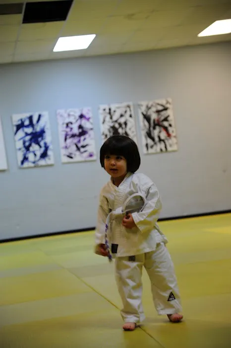 URSA Academy - Ribeiro Jiu-Jitsu Ann Arbor Picture 5