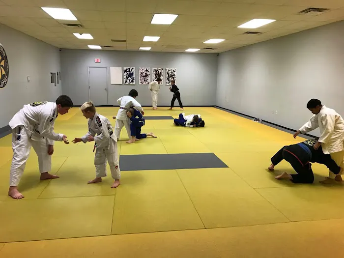 URSA Academy - Ribeiro Jiu-Jitsu Ann Arbor Picture 6