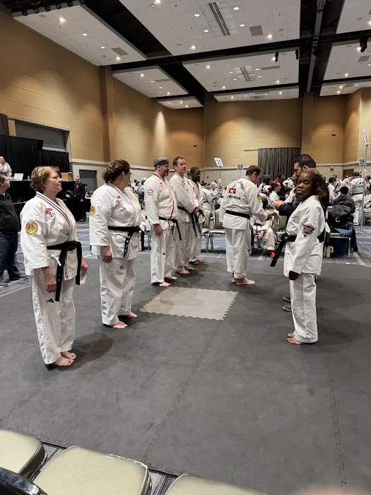 OMEGA MARTIAL ARTS SALINE Picture 8