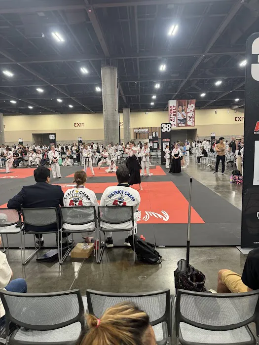 OMEGA MARTIAL ARTS SALINE Picture 7