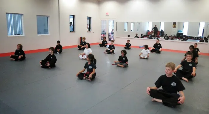 Ann Arbor Mixed Martial Arts Picture 4