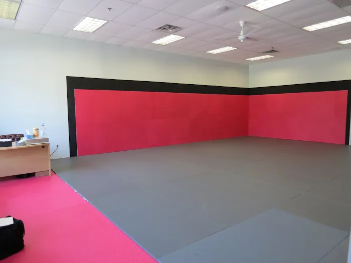 Ann Arbor Mixed Martial Arts Picture 5