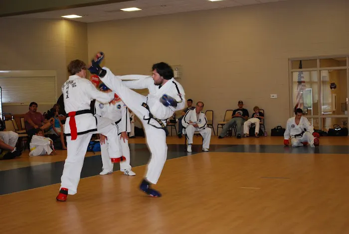 Great Lakes Global Tae Kwon Do Picture 9