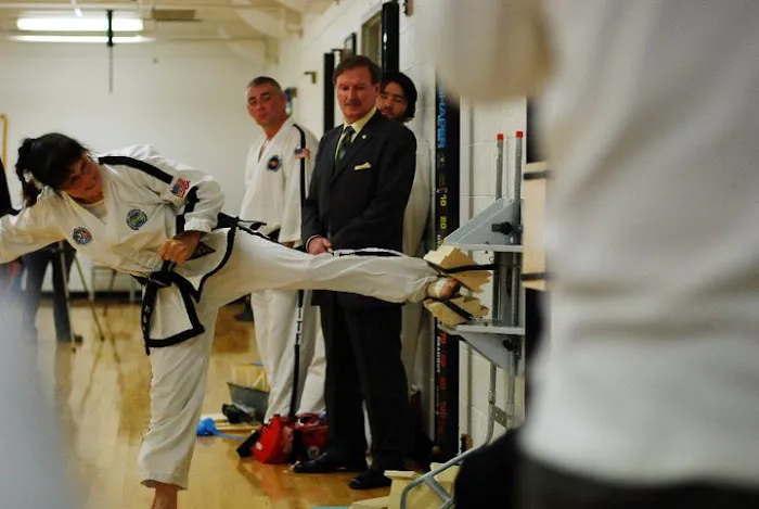Great Lakes Global Tae Kwon Do Picture 4