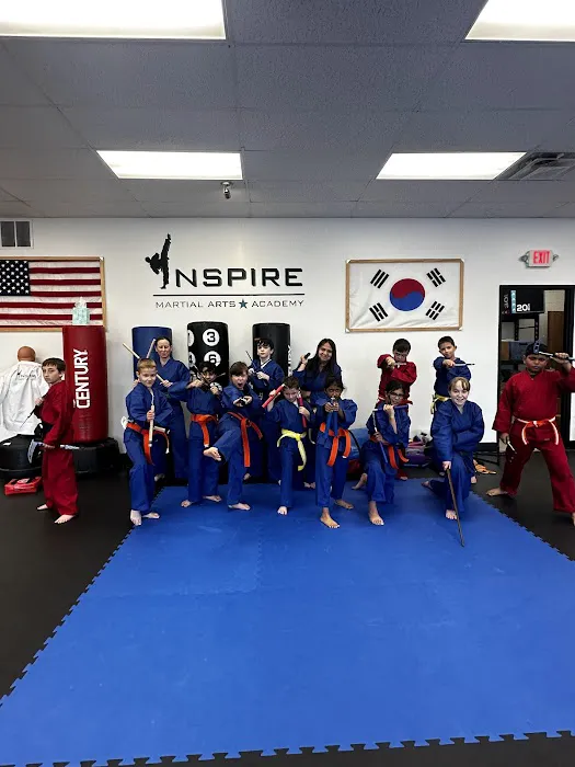 Inspire Martial Arts Academy Picture 4