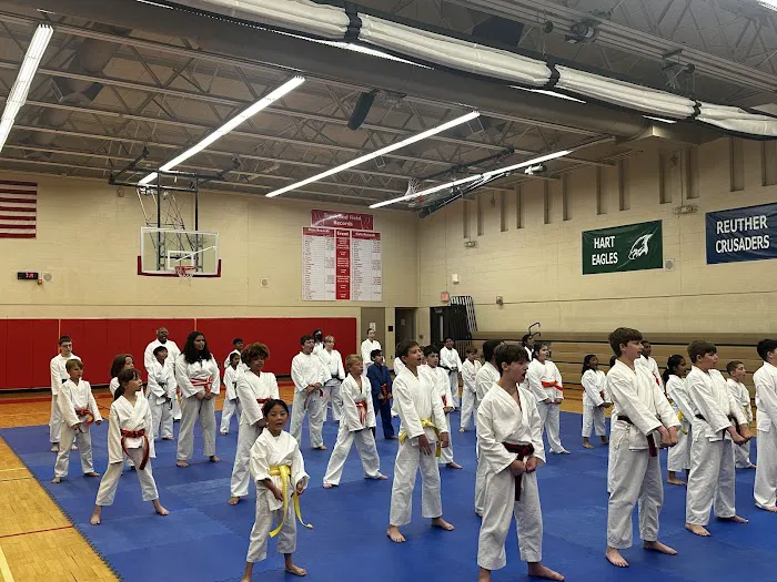 Inspire Martial Arts Academy Picture 6