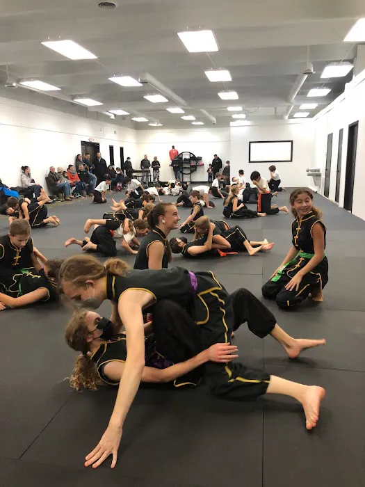 Rochester School of Martial Arts Picture 1