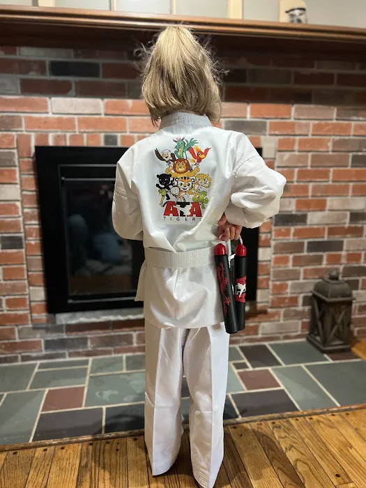 Alpha Martial Arts Shelby Township Picture 2