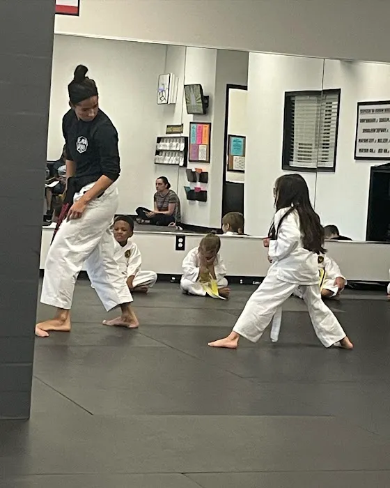 College of Martial Arts Picture 1