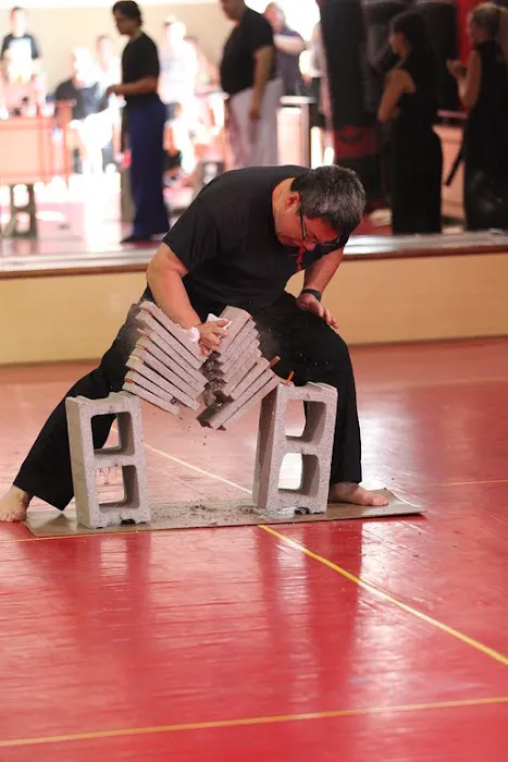 Master Tong's Martial Arts Picture 2