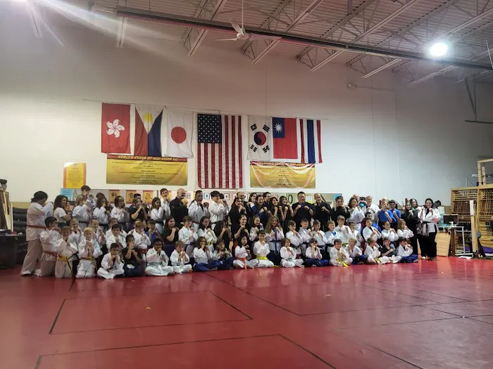 Master Tong's Martial Arts Picture 1