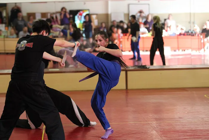 Master Tong's Martial Arts Picture 3