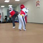Championship Martial Arts Shelby Township