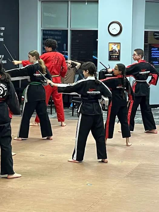 Championship Martial Arts Shelby Township Picture 7