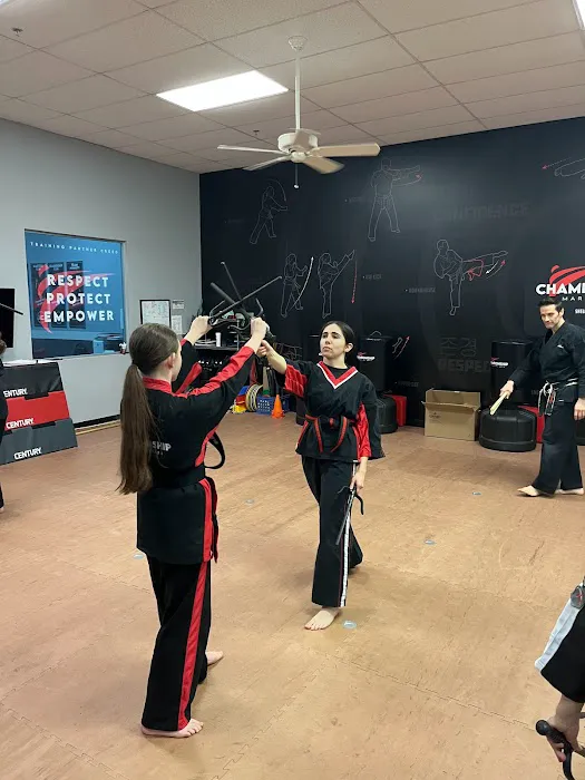 Championship Martial Arts Shelby Township Picture 8