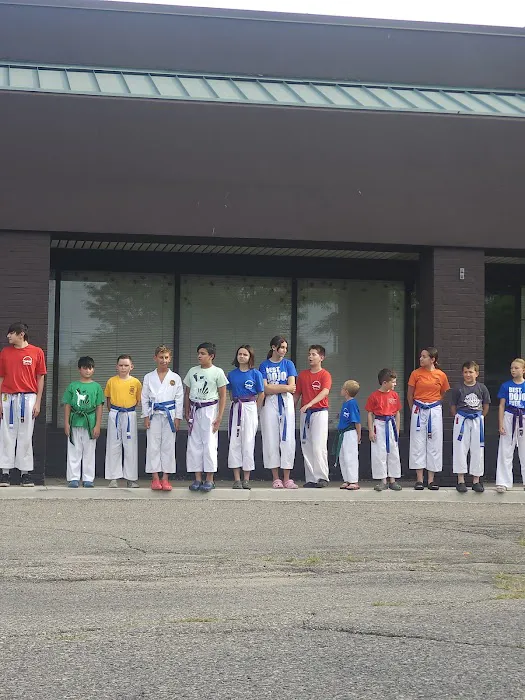 Dynamic Martial Arts Picture 2