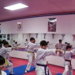 Hurricane Tigers Taekwondo & Martial Arts