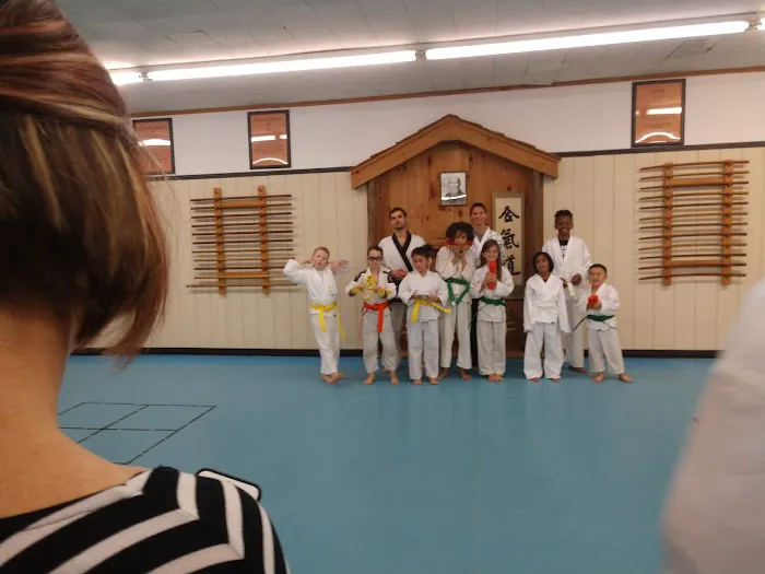 USA Martial Arts Picture 2