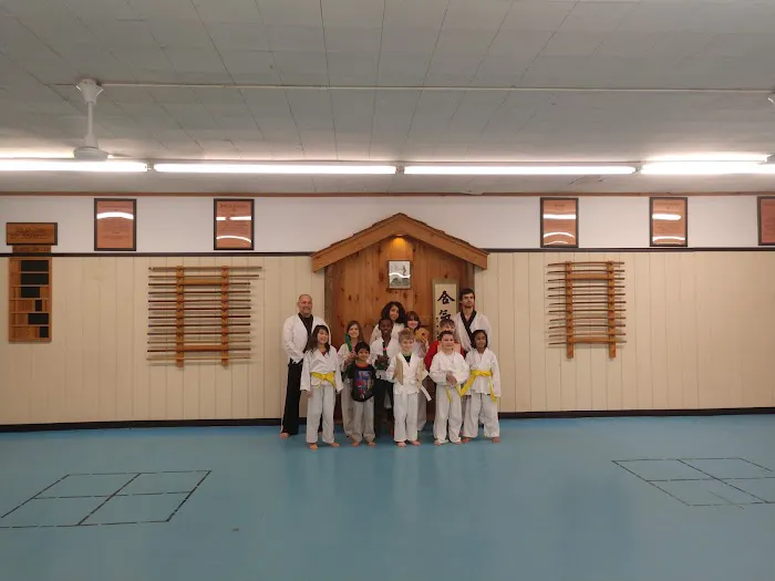 USA Martial Arts Picture 4