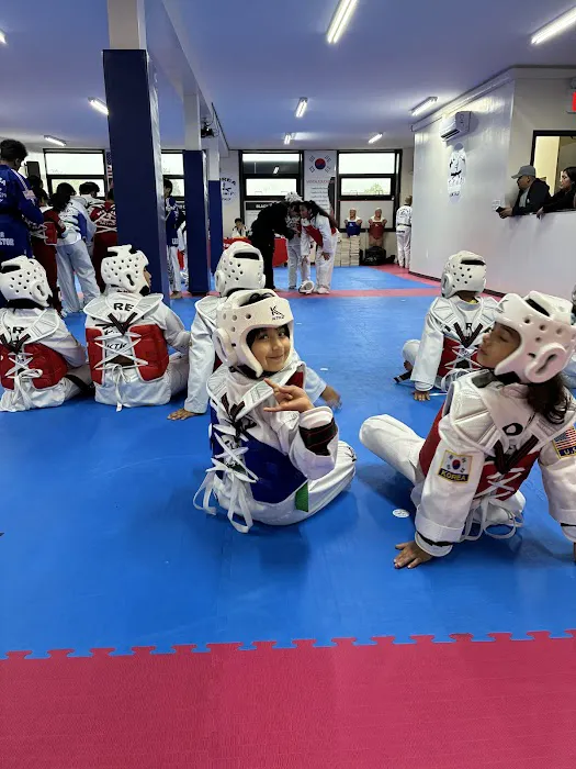 Korea Taekwondo - KTKD Dublin Picture 4